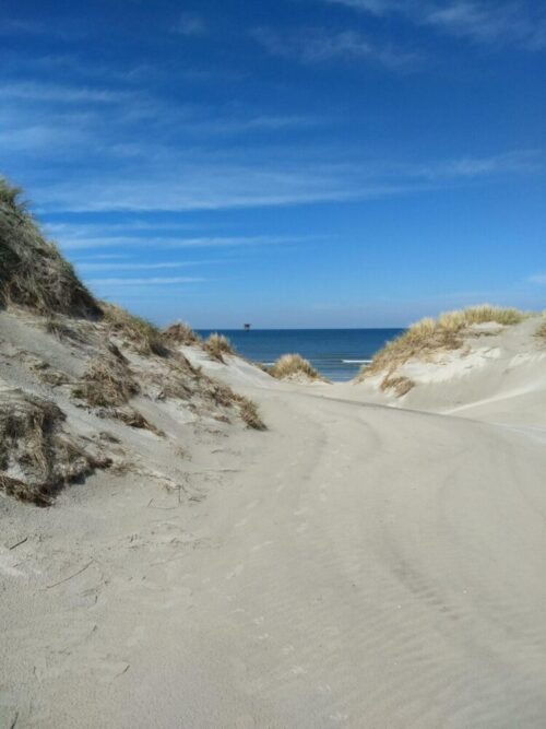RWS: waddennatuur verboden voor mensen